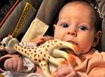 Babies love Sophie the Giraffe.  Image compliments of Alanna Risse