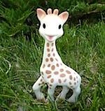 Sophie the Giraffe in the grass